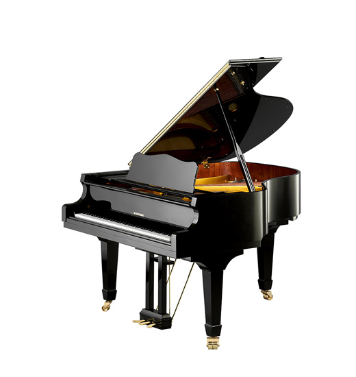 W.Hoffmann Vision V 158