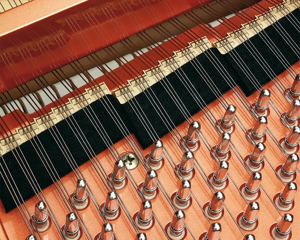 Schimmel K 230 Tradition