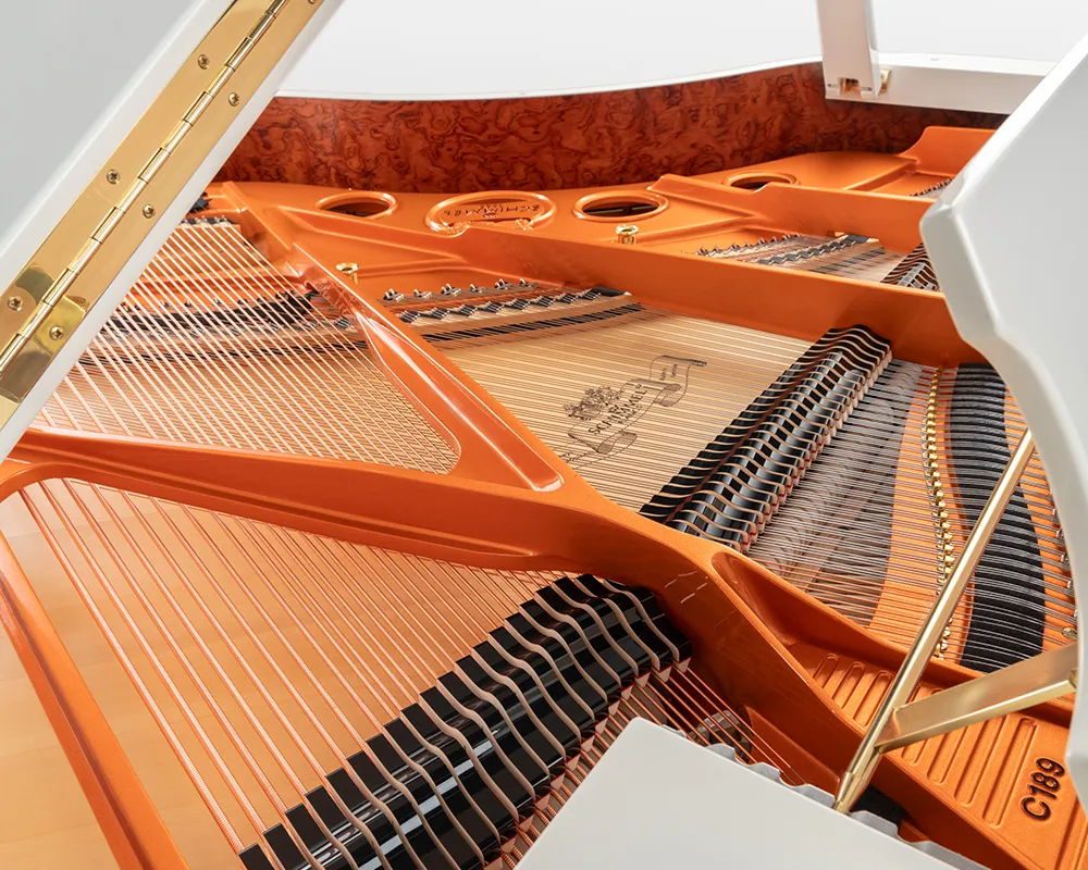 Schimmel C 189 Tradition