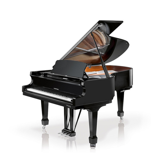 W.Hoffmann Professional P 206