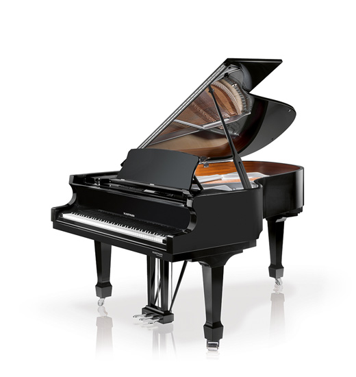 W.Hoffmann Professional P 188