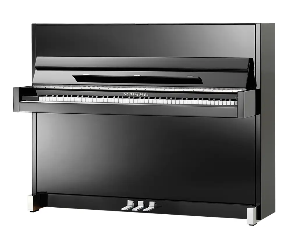 Schimmel C 116 Modern